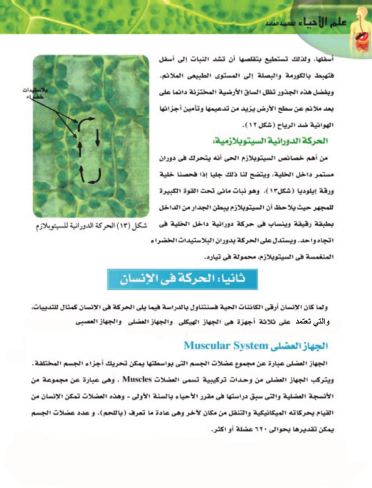 شرح الدرس الاول احياء8 شرح الدرس الاول احياء8
